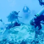 $10k needed to keep reef restoration project going