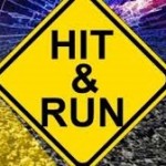 Brothers injured in hit and run
