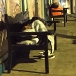 Cayman needs accurate homeless numbers