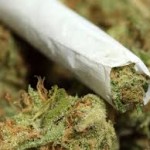Legal ganja ‘grows’ in US down ballot vote