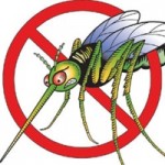 Public health issues warning over regional dengue