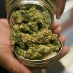 Bermuda lawmakers decriminalise ganja possession