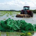 Food supplies cut short by rains