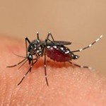 Visitor to Cayman tests positive for Zika