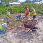 Christmas jobs to make Cayman ‘NICE’ again