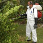 MRCU leads charge to keep Cayman Zika free