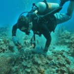 Panton reveals challenges of yacht reef damage