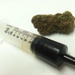 Drugs law draft allows for cannabis extracts