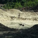 Dart digs up sand to transfer to Kimpton