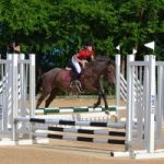 Equestrian Center fights government over road