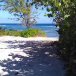 Seasonal clean-up opens beach access
