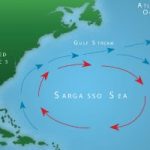 Cayman signs onto agreement to protect Sargasso Sea