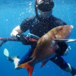 NCC battles conflict over spearfishing