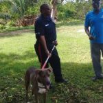 Cops and DoA focus on dangerous dogs