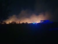 Cayman News Service, Bush Fire