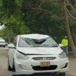 Driver arrested for fatal collision on Shamrock Road
