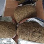 Authorities seize over $½M of ganja in two weeks