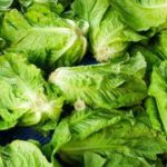 Romaine lettuce pulled from local stores