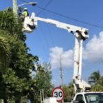 New street lights to help save baby turtles