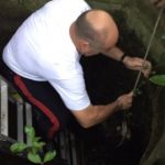 Police rescue dogs stuck down a well