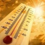 Scientists confirm 2019 as 2nd hottest year