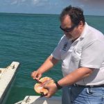Local conch back on the menu as season opens