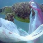 7 Caribbean countries to ban plastic in 2020