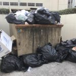 DEH still struggling with garbage collection