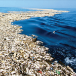 Caribbean hotbed of pollution, report warns