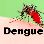 Local cases of dengue mount