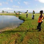 Airport wildlife transferred to new ponds