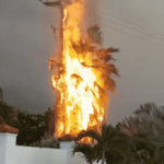 Lightning triggers tree and pole fire