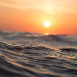 Oceans hotter than ever in 2019