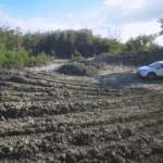 CPA clears developer over mangrove destruction