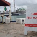Fish market reopens at cruise terminal