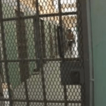 Mental health ‘grave concern’ at prisons