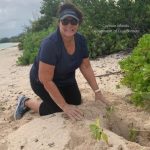 DoE marks 500th wild turtle nest