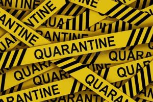 Police investigate quarantine bus mix-up