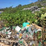 Activist calls for local reuse solution for plastic