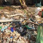 Beach cleaners pick up nearly 1,000lb of plastics
