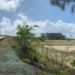Dart’s new town threatens beach access