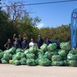 Over 3 tons of plastic picked off local beaches this year
