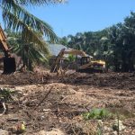 Unlawful mangrove clearance under DPP investigation