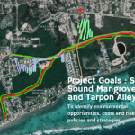 Activists propose conservation plan for mangroves