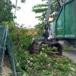 Post Grace clean-up underway islandwide
