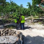 Around 600 temp workers help spruce up islands