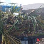 Landfill overwhelmed by green waste