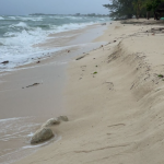 Cayman faces rising, warmer seas and bigger storms