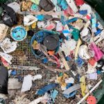 Activists call for dedicated plastic clean-up