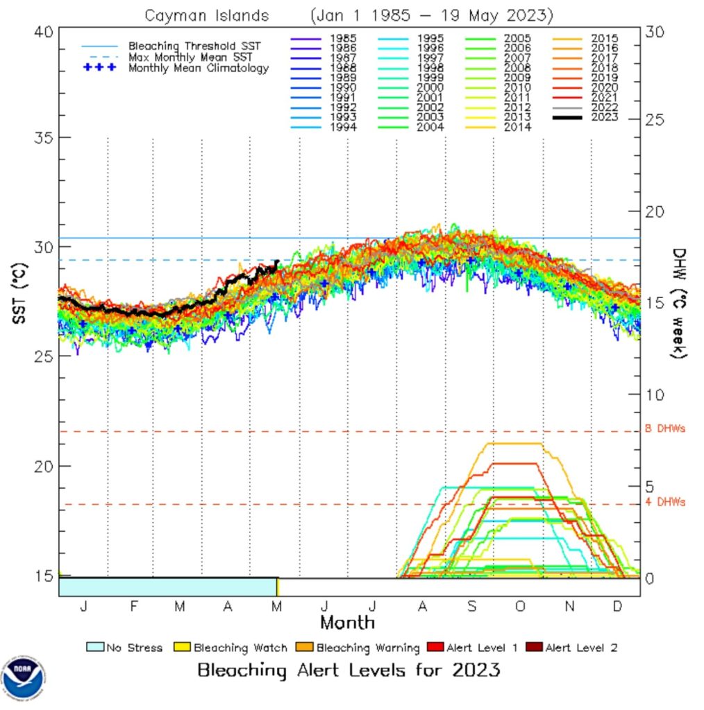 Cayman Islands rising sea temperature, Cayman News Service